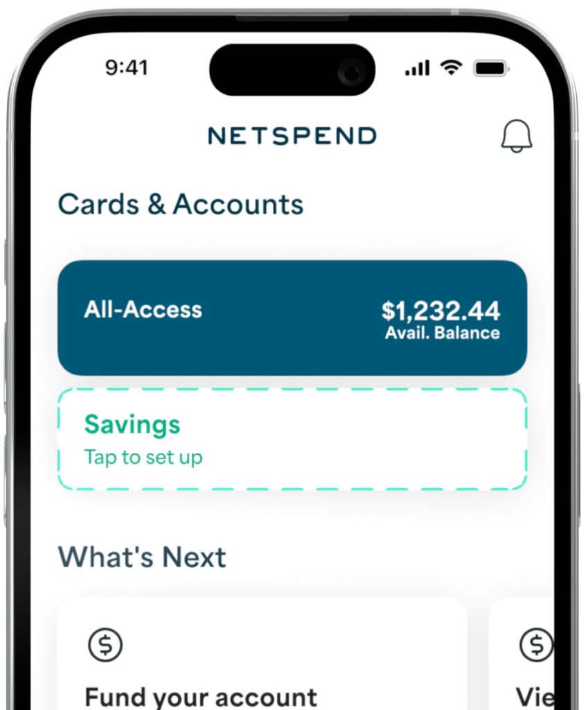 Netpsend App dashboard displayed on an iPhone